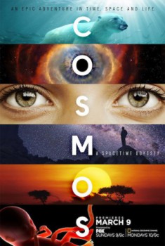 poster Cosmos: A Spacetime Odyssey - Stagione 01-02&nbsp;&nbsp;(2014)